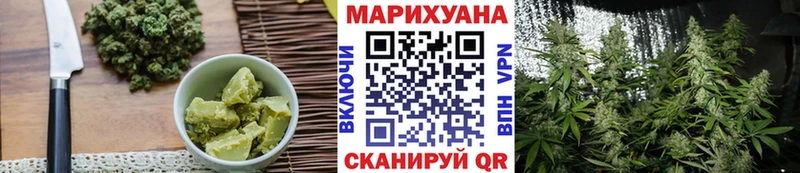 MEGA ONION  Тогучин  Cannafood конопля 