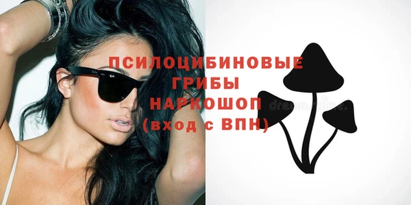ПСИЛОЦИБИНОВЫЕ ГРИБЫ Верхнеуральск