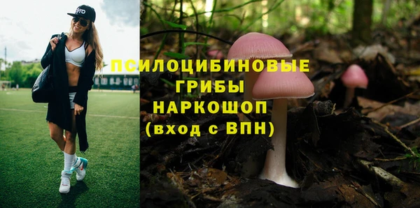 ПСИЛОЦИБИНОВЫЕ ГРИБЫ Верхнеуральск