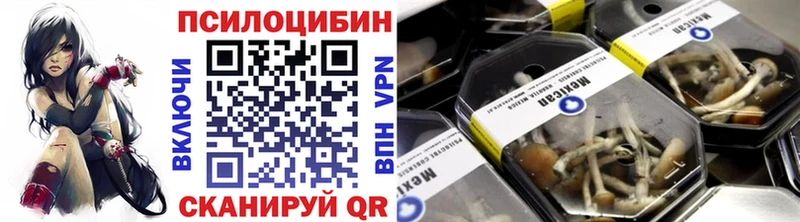 Псилоцибиновые грибы Psilocybine cubensis  omg ссылки  Тогучин 
