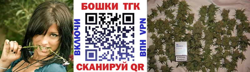 Бошки марихуана THC 21%  мега   Тогучин 